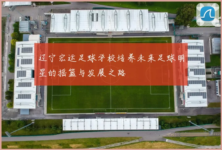 辽宁宏运足球学校培养未来足球明星的摇篮与发展之路