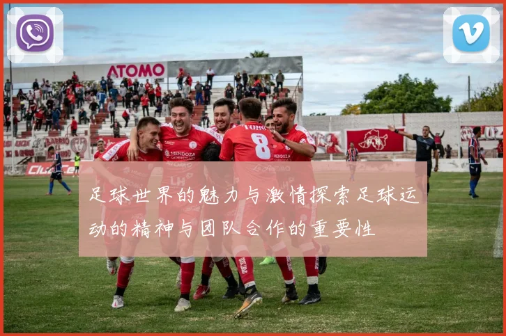 足球世界的魅力与激情探索足球运动的精神与团队合作的重要性