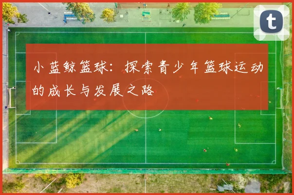 小蓝鲸篮球：探索青少年篮球运动的成长与发展之路